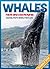 Whale Facts and Cool Pictures. Animal Photo Books for Kids.