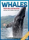 Whale Facts and Cool Pictures. Animal Photo Books for Kids. Whale Facts and Cool Pictures. Animal Photo Books for Kids.
