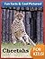 Cheetahs for Kids! - Fun Fa...