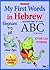 How to Say in Hebrew (Over 150 First Words in English and Hebrew for Kids) (my first words Book 2)