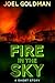 Fire In The Sky by Joel Goldman