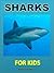 Sharks for Kids!