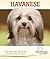 Havanese (Breed Lover's Guide)