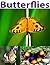 Butterflies: beautiful pictures of butterflies