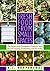 Fresh Food from Small Spaces: The Square-Inch Gardener's Guide to Year-Round Growing, Fermenting, and Sprouting