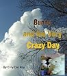 Bunny and the Very Crazy Day by Enly Dia  Ray