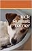 Jack Russell Terrier:  Picture Guide Book