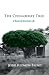 The Chinaberry Tree by Jessie Redmon Fauset