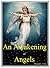 An Awakening of Angels