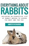 How to Care for Your Pet Rabbits by Amber Richards
