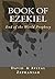 Book of Ezekiel: End of this World Prophecy