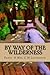 By Way of the Wilderness