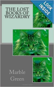 The Lost Books of Wizardry (Paperback)