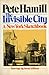 The Invisible City by Pete Hamill
