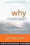 Why Meditate?: Wo...