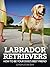 Labrador Retrievers: How to Be Your Dog's Best Friend (101 Publishing: Pets Series)