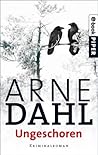 Ungeschoren by Arne Dahl