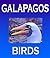 Galapagos Birds: Wildlife Photographs from Ecuador’s Galapagos Archipelago, the Encantadas or Enchanted Isles, and the words of Herman Melville, Charles ... FitzRoy (Galapagos Islands Nature Series)