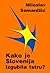 Kako je Slovenija izgubila ...