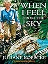 When I Fell From ...