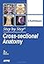 Step by Step Cross Sectional Anatomy
