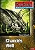 Chandris Welt (Perry Rhodan Planetenroman #7)