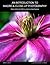 An Introduction To Macro An...