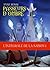 Passeurs d'ombre, l'intégrale de la saison 1 (Numerik séries) (French Edition)