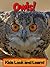 Owls! Learn About Owls and Enjoy Colorful Pictures - Look and Learn! (50+ Photos of Owls)
