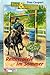 Reiterspiele im Sommer (Jana & Janusch, #8)