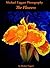 The Flowers by Michael Taggart Photography