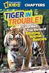 Tiger in Trouble!...