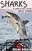 Sharks: A Simple Kids Book About Sharks - Fun Facts & Pictures About These Amazing Sea Creatures