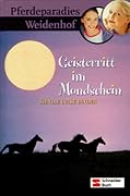 Geisterritt im Mondschein