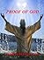 Proof of God