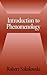 Introduction to Phenomenology by Robert Sokolowski