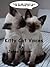 Kitty Cat Voices
