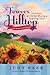 Forever Hilltop Two-In-One by Judy Baer