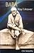 Baba May I Answer by C.B. Satpathy