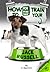 How to Train your Jack Russell: Jack Russell Training