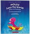 Mouse Sees the World