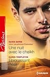 Une nuit avec le cheikh - Eblouissant désir: T3 - Les princes d'Azmahar (French Edition)
