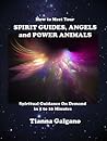 How To Meet Your SPIRIT GUIDES, ANGELS and POWER ANIMALS:: Spiritual Guidance On Demand in 5 to 10 Minutes, a Practical Guide