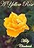 A Yellow Rose