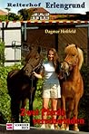 Zwei Pferde verschwinden (Reiterhof Erlengrund, #5)