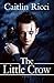 The Little Crow (Heart of Darkness, #1)