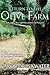 Return to the Olive Farm (The Olive Series)