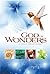 God of Wonders by David A. Steen