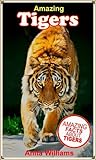 AMAZING TIGERS: A Children's Book About Tigers and their Amazing Facts, Figures and Photos/Pictures: (Animal Books For Kids)