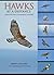 Hawks at a Distance by Jerry Liguori
